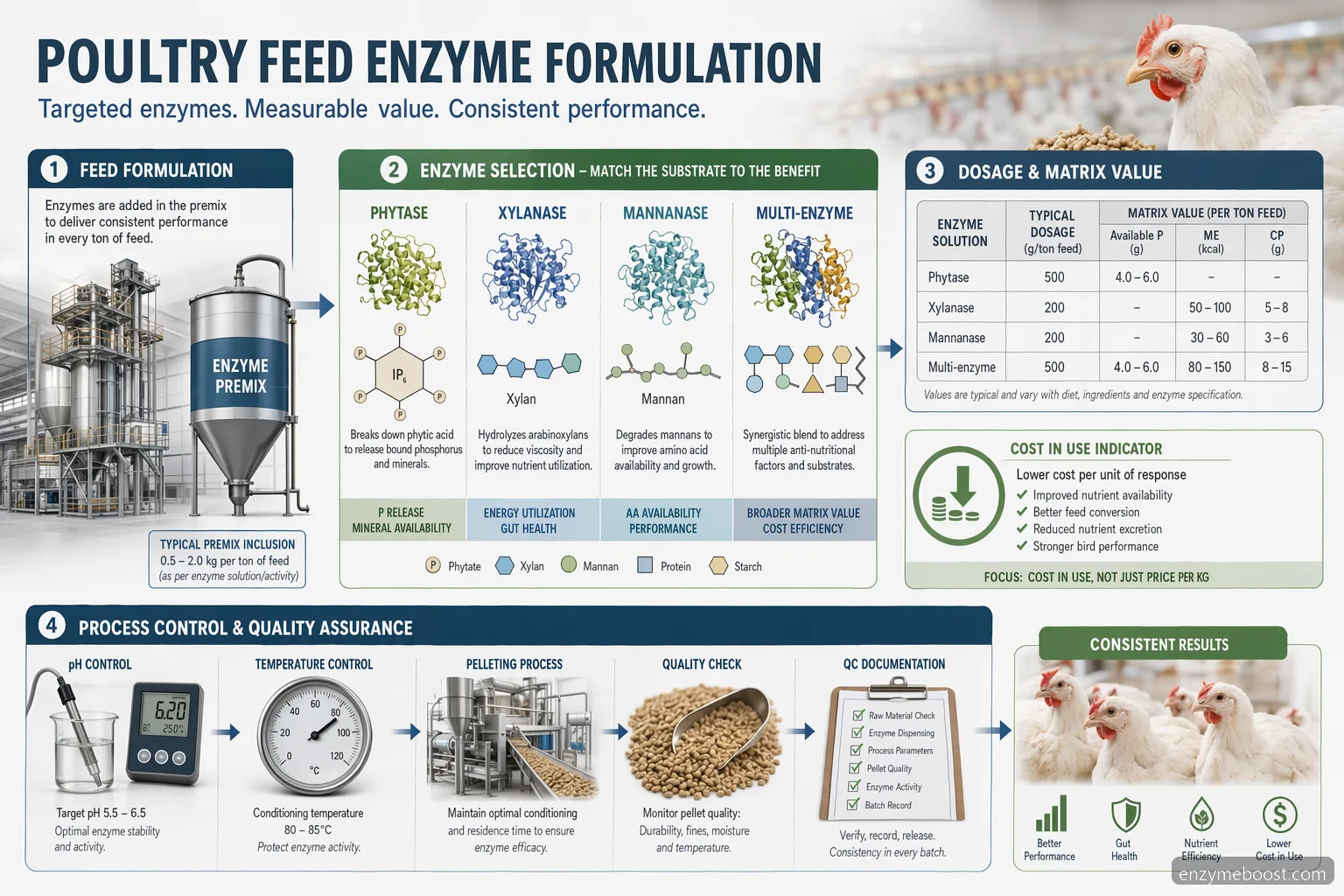 feed enzyme poultry feed formulation infographic showing enzyme selection, dosing, pelleting limits, and QC checks